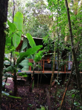 Tree houses Bosque Nuboso Monteverde, Monte Verde